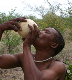 San man drinking